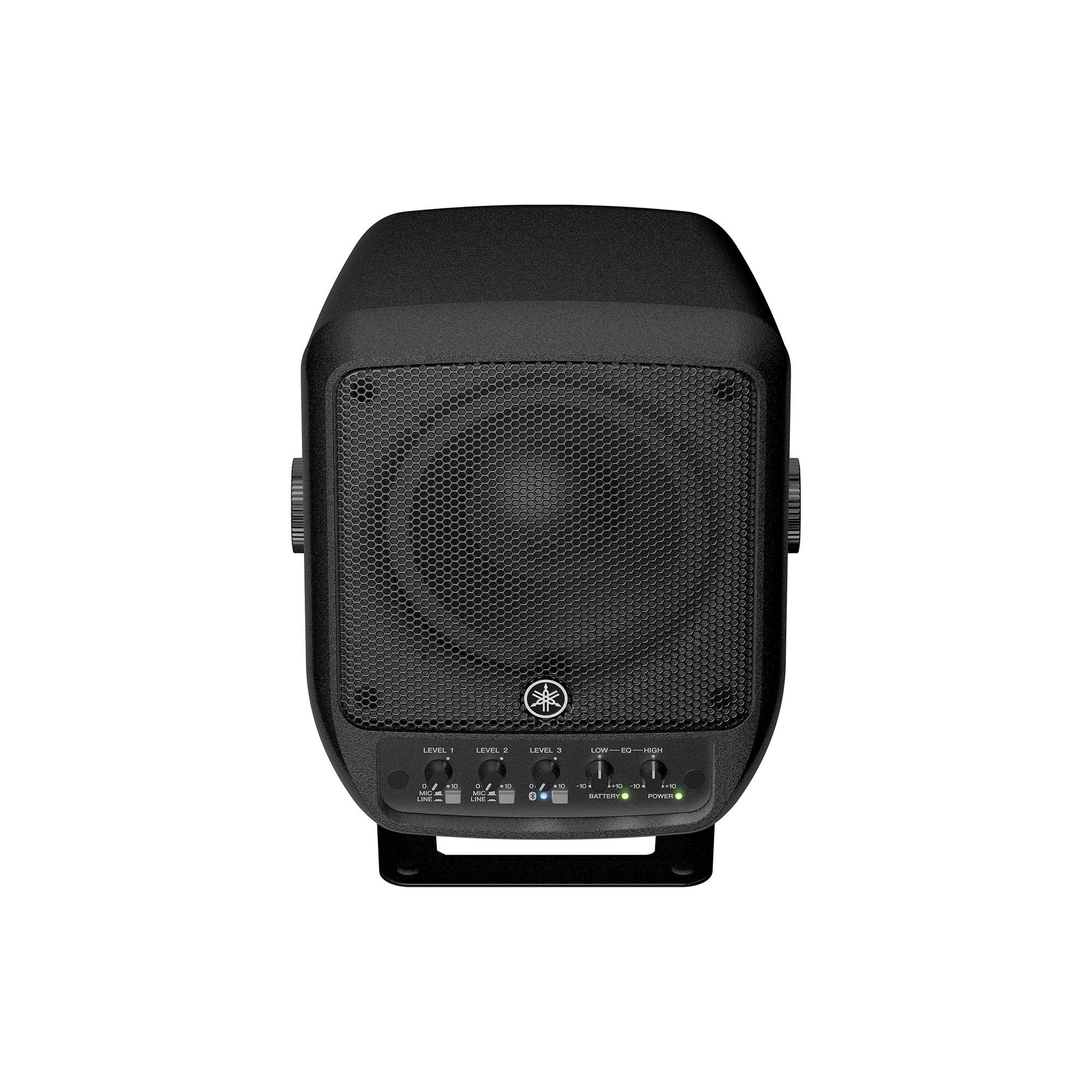 STAGEPAS 100BTR mk25